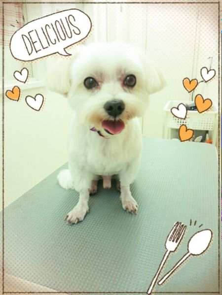 １０月１５日トリミング写真カンタ