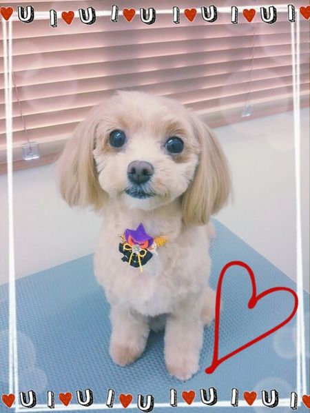 １０月１５日トリミング写真