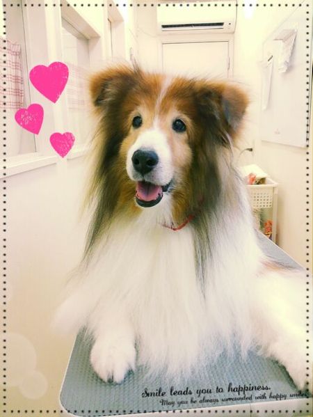 １０月１７トリミング写真るい