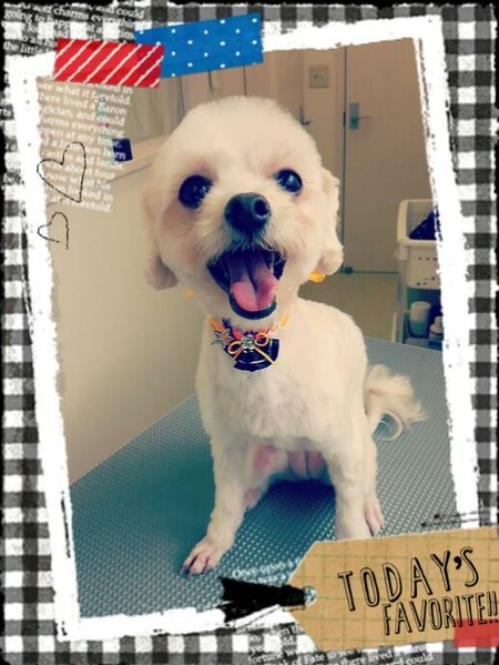 １０月１９日トリミング写真姫