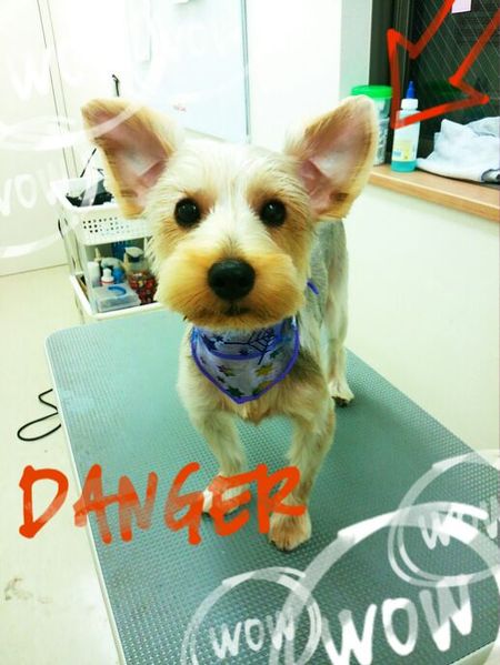 １０月２１日トリミング写真むぎ