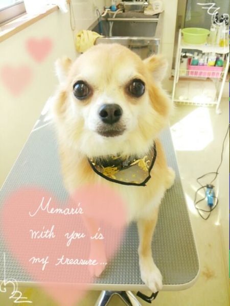 １０月２４日トリミング写真しょうた