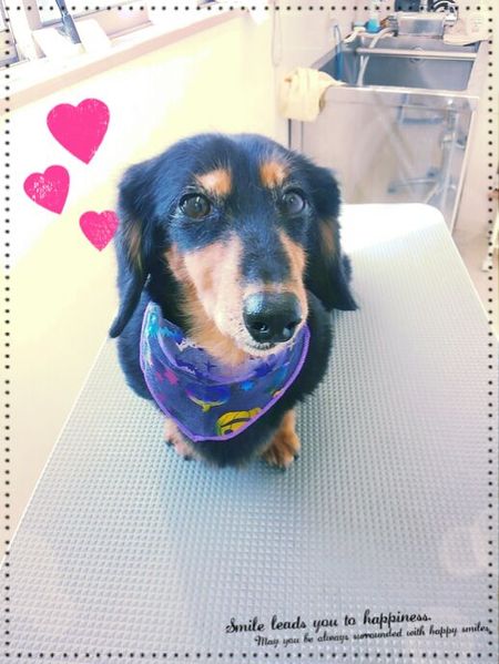 １０月２４日トリミング写真ライス