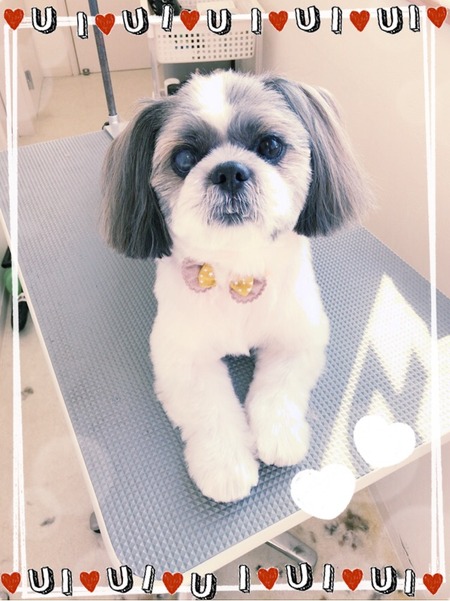 １１月２日トリミング写真ロン