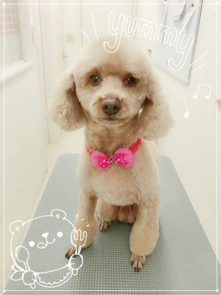 １１月４日トリミング写真クー