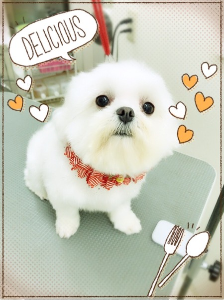 １１月８日トリミング写真りん