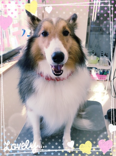 １１月9日トリミング写真モア