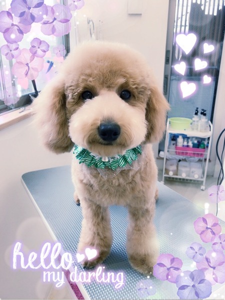 １１月１１日トリミング写真けん