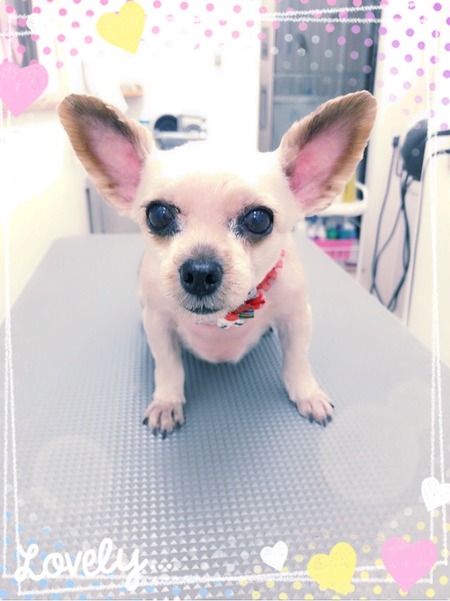 １１月１１日トリミング写真青空