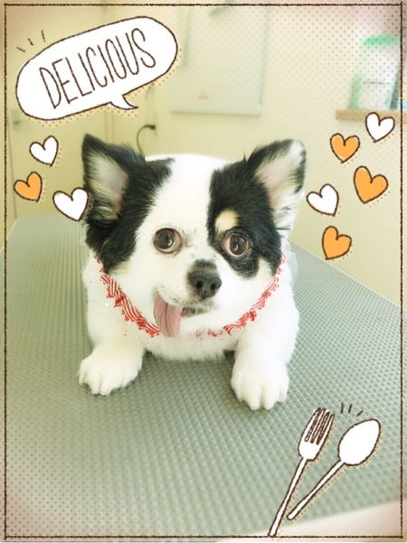 １１月１２日トリミング写真ちょこら