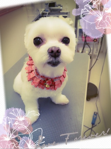 １１月１２日トリミング写真ソラ