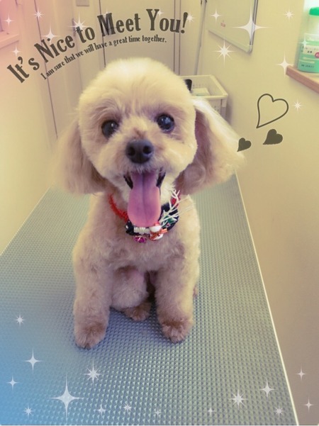 １１月１４日トリミング写真ポポロン