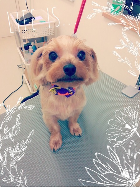 １０月３１日トリミング写真ピース