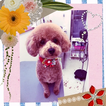 １１月１９日トリミング写真nap