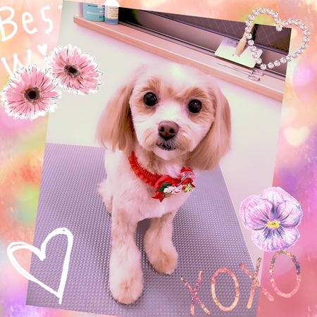 １１月１９日トリミング写真クウ