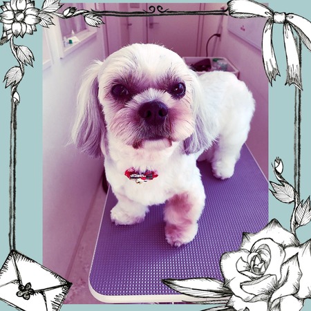 １１月２２日トリミング写真連