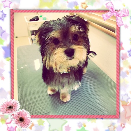 １１月２２日トリミング写真そら