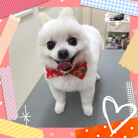 １１月２２ひ　トリミング写真レナ