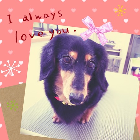 １１月２３日トリミング写真ライス