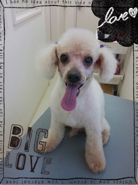 １１月２日トリミング写真ノンノン