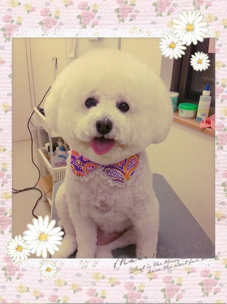 １１月２日トリミング写真ルル