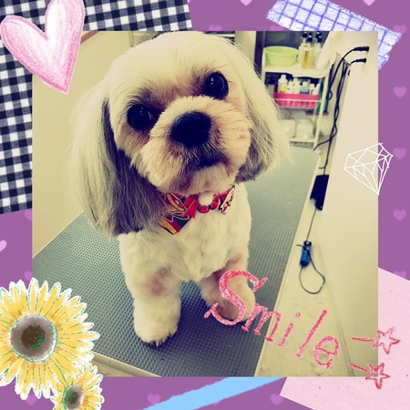 １２月２０日トリミング写真蓮