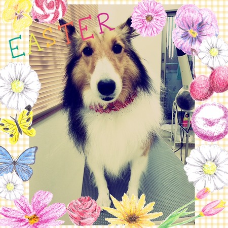 １２月２０日トリミング写真モア