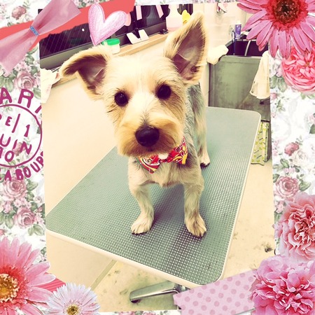 １２月２０日トリミング写真むぎ