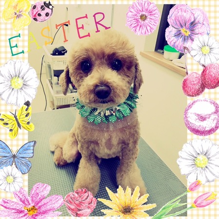 １２月２１日トリミング写真ぶり