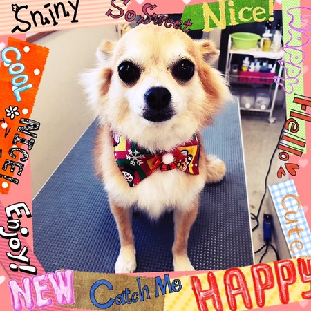 １２月２３日トリミング写真しょうた