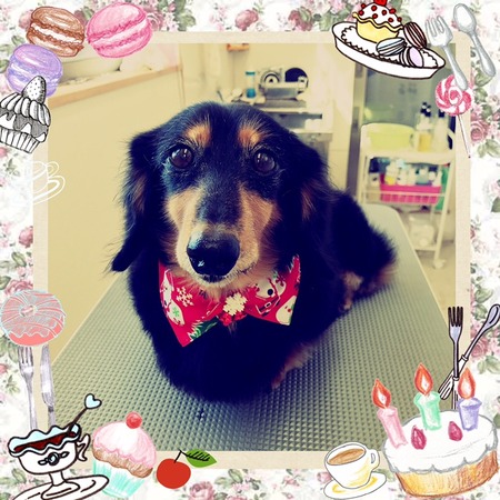 １２月２３日トリミング写真ライス