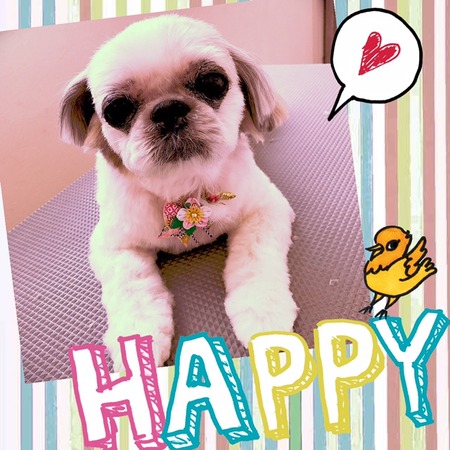 １２月２６日トリミング写真ヒメ