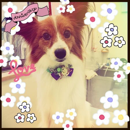 １２月２７日トリミング写真れん