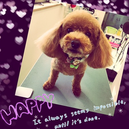 １２月２８日トリミング写真チョコ