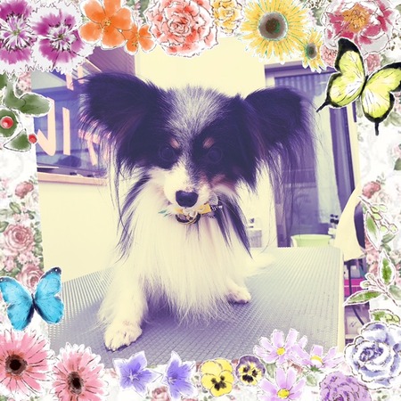 １２月３０日トリミング写真りっく