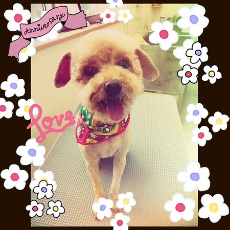 １１月２８日トリミング写真モコ