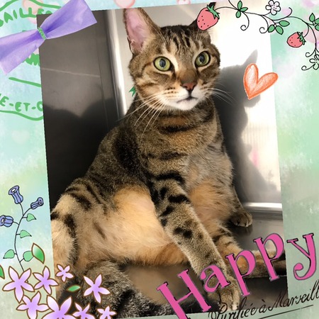 １１月２８日トリミング写真ナッキー