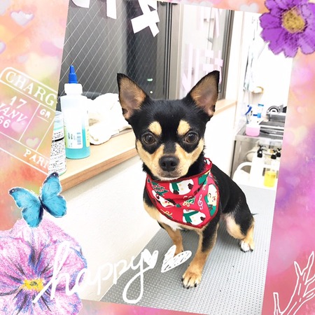 １１月２８日トリミング写真マル