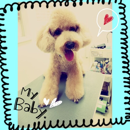 １１月２９日トリミング写真茶太丸