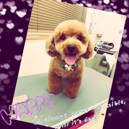 １１月２９日トリミング写真ぽん吉