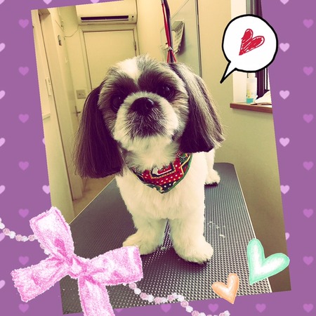 １１月３０日トリミング写真ロン