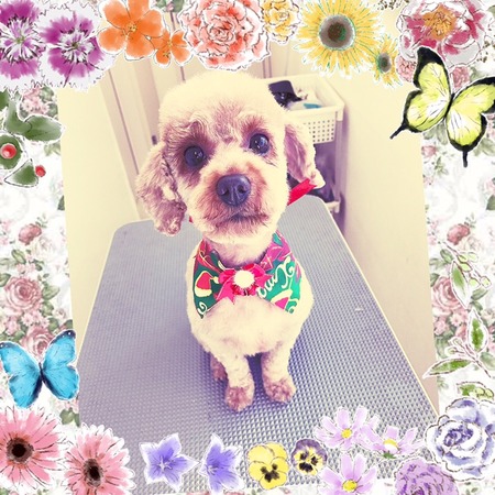 １２月２日トリミング写真モコ