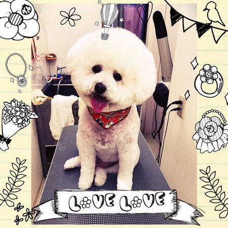 12月２日トリミング写真ルル