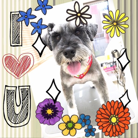 １２月３日トリミング写真ホップ