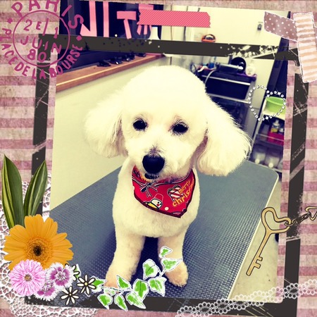 １２月３日トリミング写真ジャック