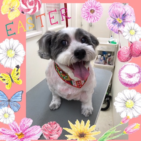 １２月７日トリミング写真めぐ