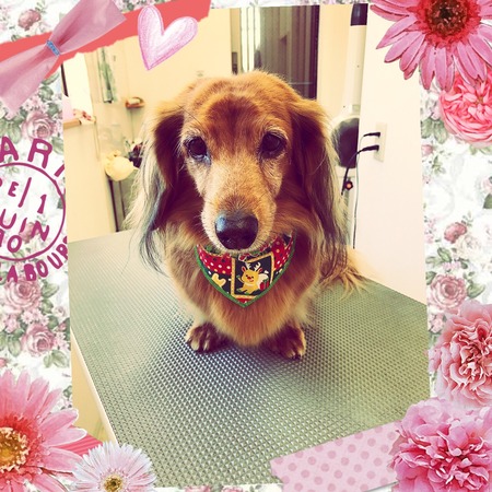 １２月９日トリミング写真ミント