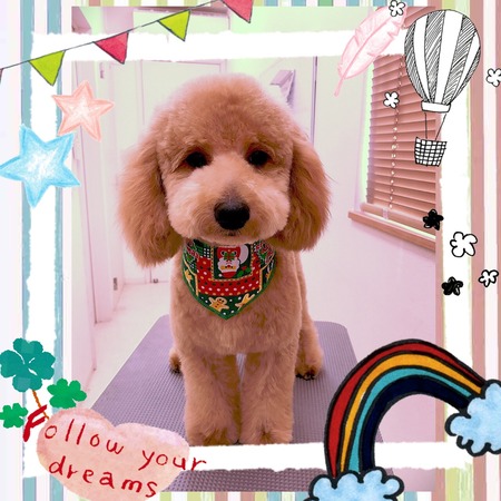 １２月９日トリミング写真けん