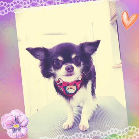 １２月９日トリミング写真アルエ