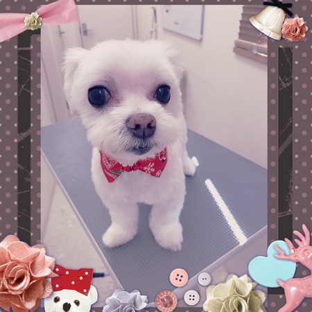 １２月１０日トリミング写真ソラ